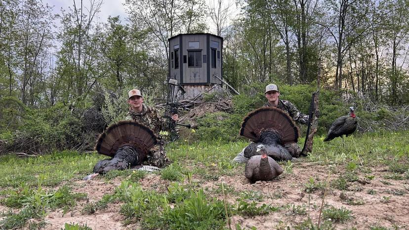 Field Tested Designs Image