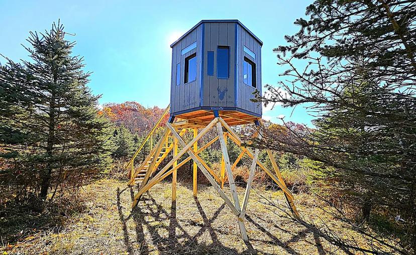 Professional Setup Image