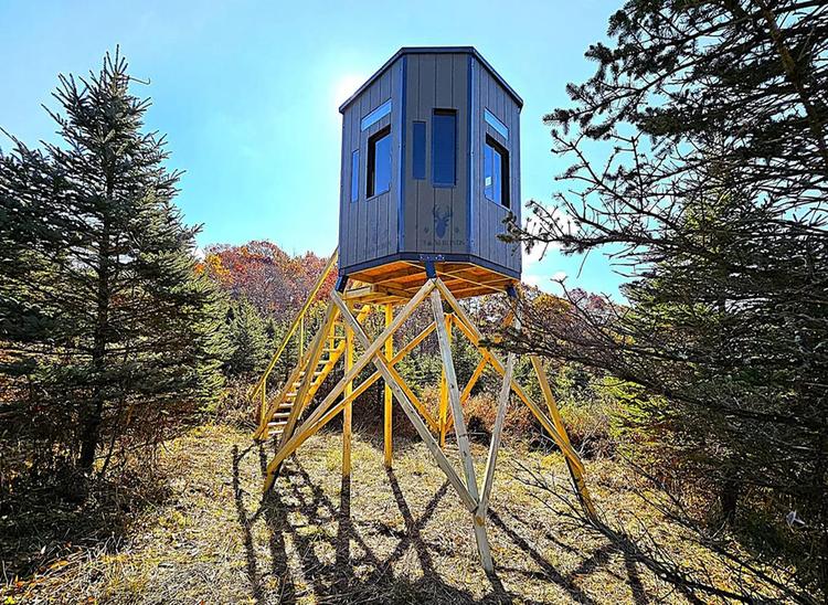 The Plotwatcher Image